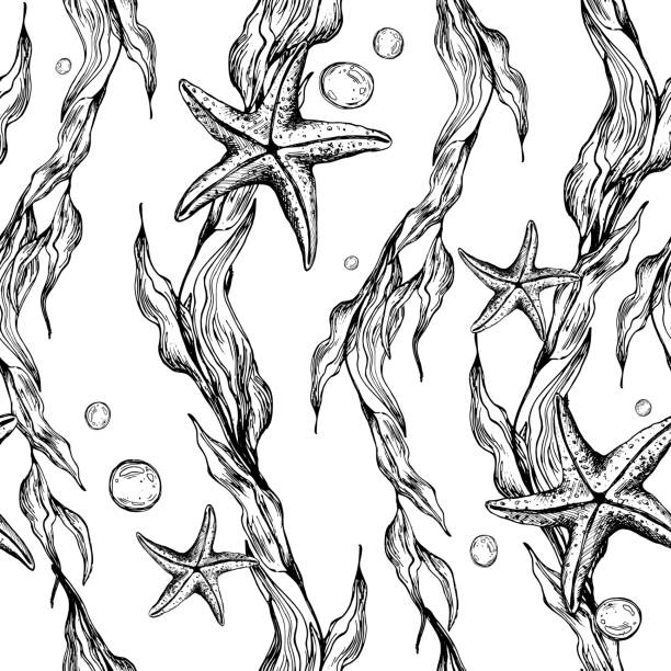 ilustrações de stock, clip art, desenhos animados e ícones de underwater world clipart with sea animals, bubbles, starfish and algae. graphic illustration hand drawn in black ink. seamless pattern eps vector. - etching starfish engraving engraved image
