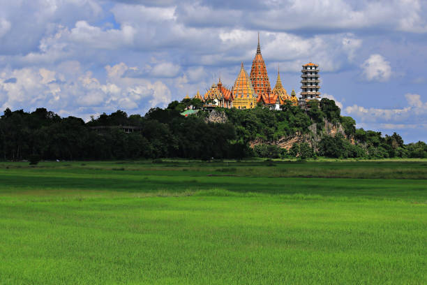 View from the rice fields Tiger Cave Temple in the background Kanchanaburi Province, Thailand