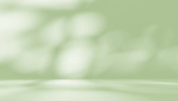 Empty green room studio with shadow of leaves overlay effect.