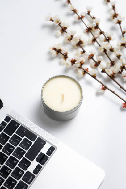 A candle, blooming branches and a laptop on white background