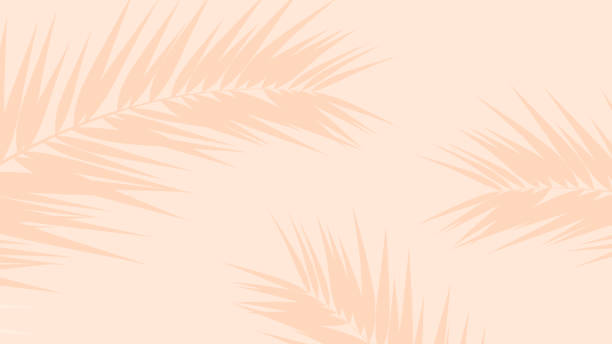istock Light beige background with shadows from palm leaves. Tropical, summer wallpaper. 2148442378