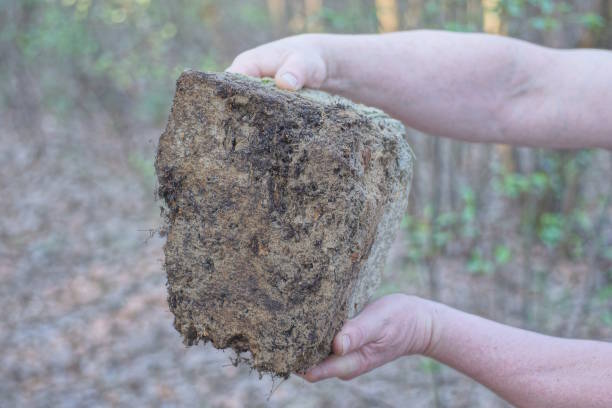 istock man's hands holding one large gray concrete piece of stone 2148442802