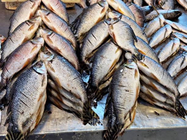 istock Fresh fish for sale 2148443212