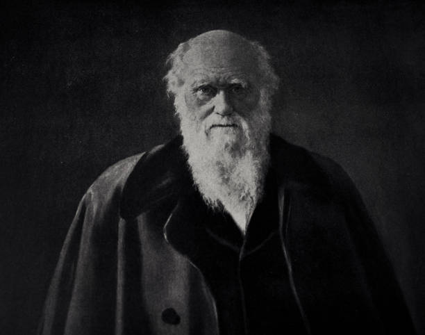 CHARLES ROBERT DARWIN, BIOLOGIST, GEOLOGIST, NATURALIST Vintage etching circa late 19th century. Digital restoration with monochrom sensor, by pictore charles darwin naturalist stock illustrations