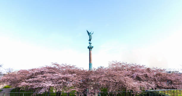 istock Cherry Blossom in Langelinie park 2148444574