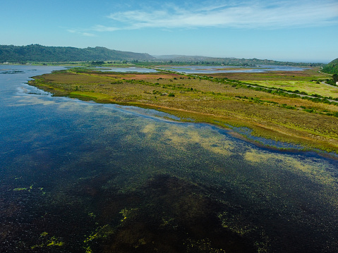 Aerial shot of the brown and murky Sedgefield dam surrounded by green reeds and bushes with a view of the sunlight reflecting from the dam's surface on a bright and sunny day.
