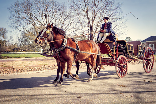 A horse-drawn carriage travels the streets of Colonial Williamsburg, Virginia.