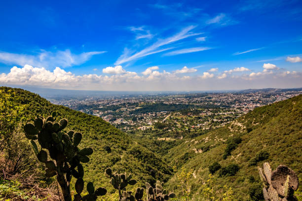 From the hill where the Archaeological city of Tepeticpac is located there is a privileged view of the city of Tlaxcala. In the foreground a cactus of the genus Opuntia tormentosa (Nopal Chamacuelo).
