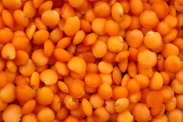 Red raw lentils in the whole frame. Vegetable protein. Horizontal photo.