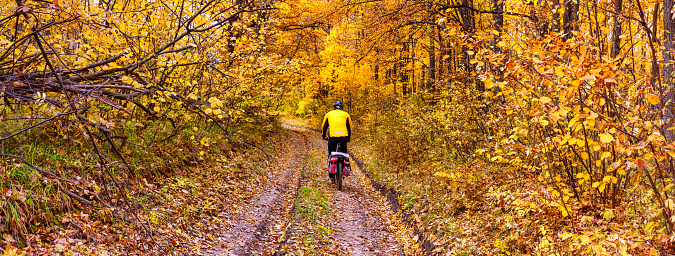 Beautiful autumn landscape, banner, panorama - cycling through dirt path in the autumn forest, countryside in northeastern Ukraine, 23 October, 2016