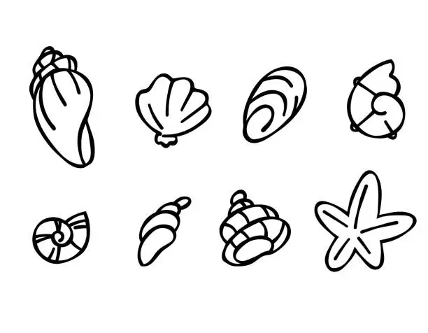 Vector illustration of Set of seashells in doodle style, black outline sketch isolated elements on white background for design template. Ocean flora. Coloring. Clip art