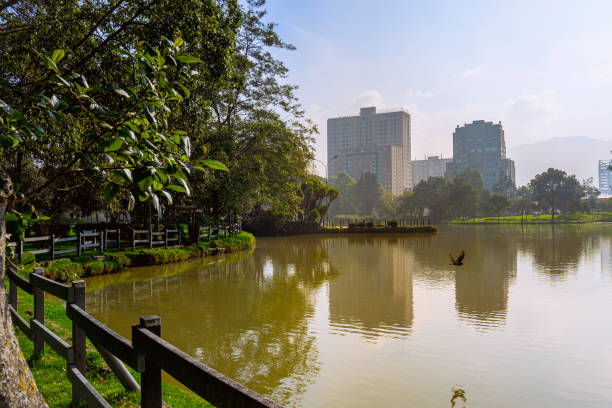 istock Lake in city natural park 2148453305