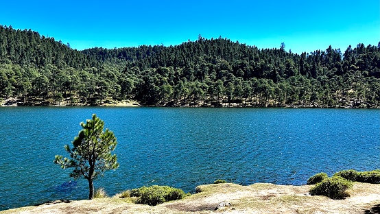 Scenic view of lake with trees in the background