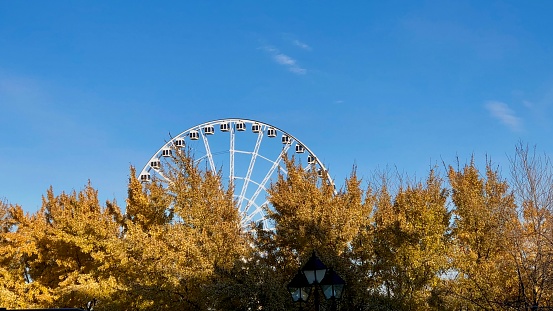 big wheel with trees in front of it