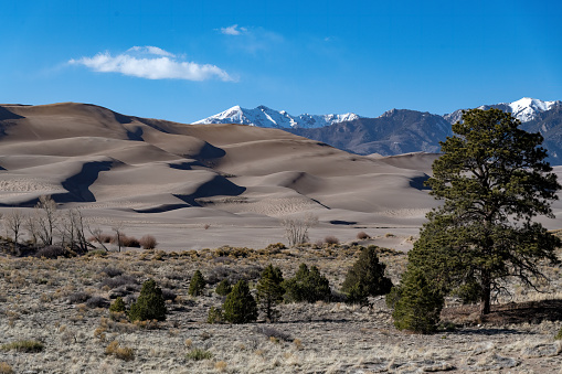 Huge sand dunes in Great Sand Dunes National Park in Colorado in western USA, North America.