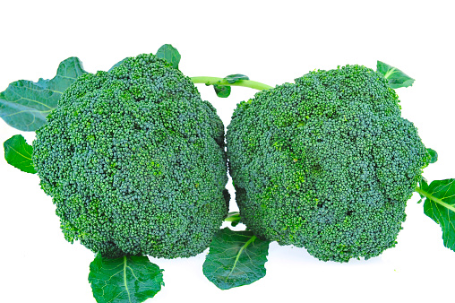 Vegetables broccoli on a white background