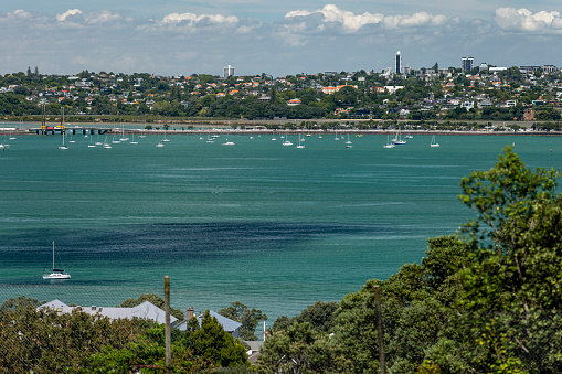 Homes and Waitemata Harbour in Auckland, New Zealand