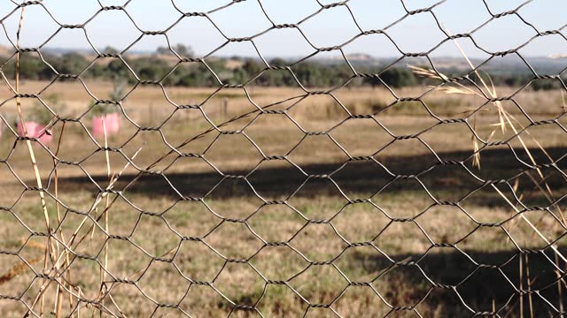 Barbed wire fence in a country setting showing short depth of field