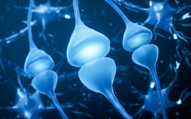 istock Biology nerve cell with biomedicine concept, 3d rendering. 2148460270