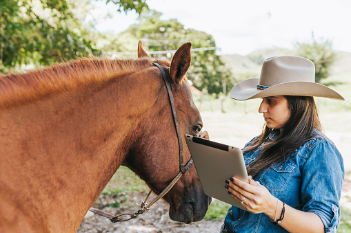 Cowgirl veterinarian examining horse's eye health