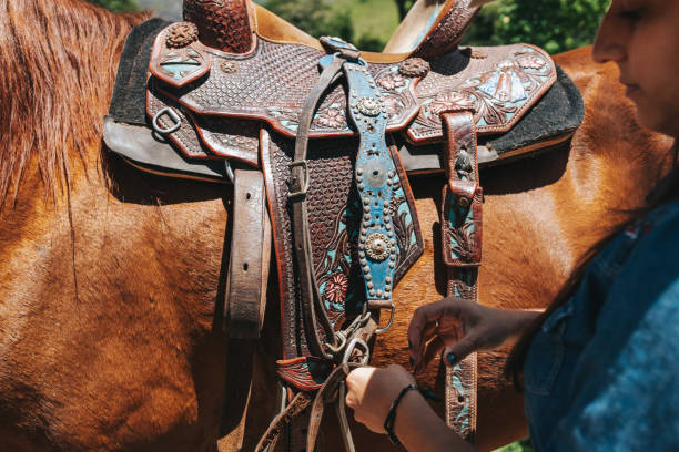 Closeup of a saddled horse