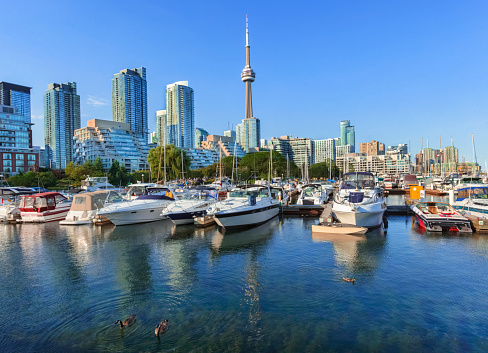 Toronto Harbourfront marina with boats in port and urban skyline in background