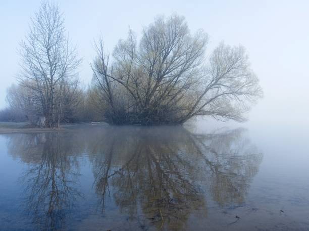 istock Still water and tree in morning fog. 2148464063