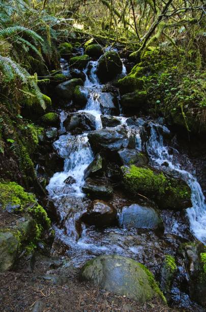 istock Water bubbling and splashing over rocks 2148465394