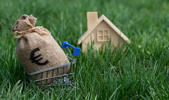 Money bag with euro symbol in shopping cart from supermarket and symbolic wooden house on grass background