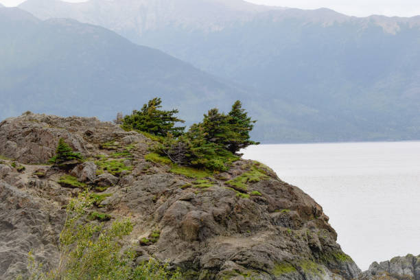 Beluga Point, Alaska offers a variety of scenic backgrounds.This sight is a must do for anyone traveling the aSeward Highway, near Anchorage, Alaska. This lookout point gives a scenic view of the Turnigan arm. The beauty of the rocks an the 180 degree beauty is breathtaking. Some fortunate lookers may also see a beluga whale coming in with the tide n