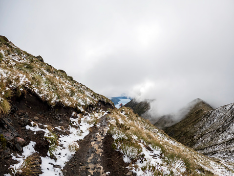 Kepler Track - New Zealand's Great Walk : Alpine Landscape featuring Tussock-Covered Ridgelines in Fiordland National Park, New Zealand