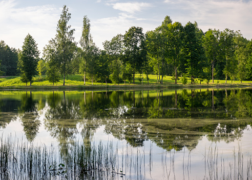 summer landscape with a pond and beautiful reflections, contrasting colors