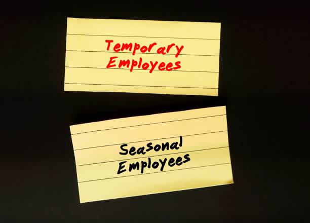 Paper written TEMPORARY EMPLOYEES (temps - typically hired to cover or fill gaps in the businesss workforce) and SEASONAL EMPLOYEES (hired temporarily when needs extra help during particular season) empleados temporales (trabajadores temporales, generalmente contratados para cubrir o llenar vacíos en la fuerza laboral de la empresa) y empleados estacionales (contratados temporalmente cuando se necesita ayuda adicional durante una temporada en particu