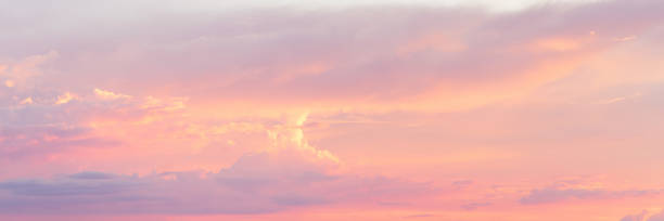 sky clouds at sunset in summer. panoramic cloudscape in pastel color. - color image light pink dramatic sky imagens e fotografias de stock