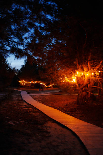 istock A path made of wooden planks in a pine forest at night with light bulbs. 2148475207