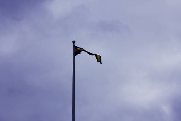 Finnish flag during the winter season with snow and beautiful background trees in partly cloudy weather.