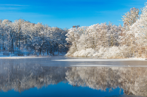 A body of water surrounded by trees covered in snow during winter in Mölndal, Sweden. The trees reflect on the calm river, creating a serene and wintry landscape.