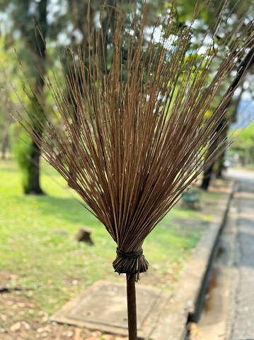 Stock photo showing close-up view of a witch's broom held vertically to display its bristles made from coconut palm trees leaf stalks tied to a wooden pole.