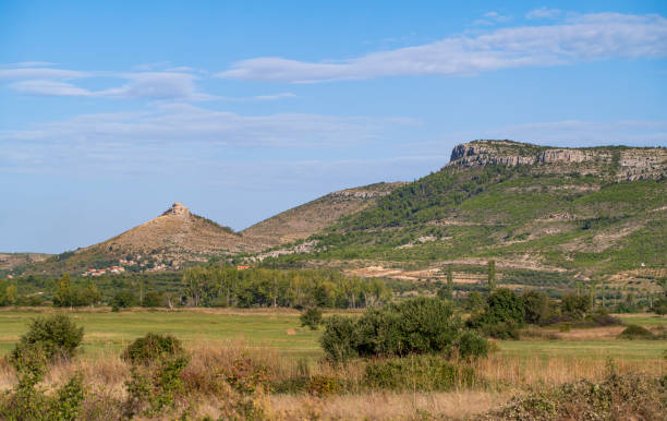 View of the valley with olive trees in Dalmatia, Croatia.