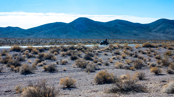 Arid desert vegetation in rock desert in valley mountains near Death Valley National Park, California