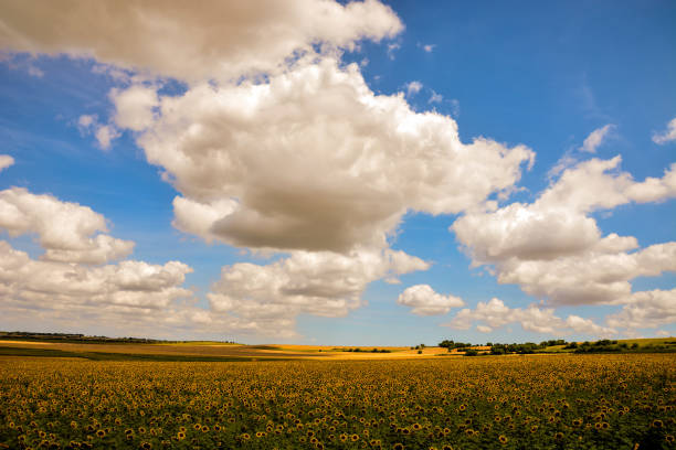 Photo Picture Scenic photography landscape European natural countryside