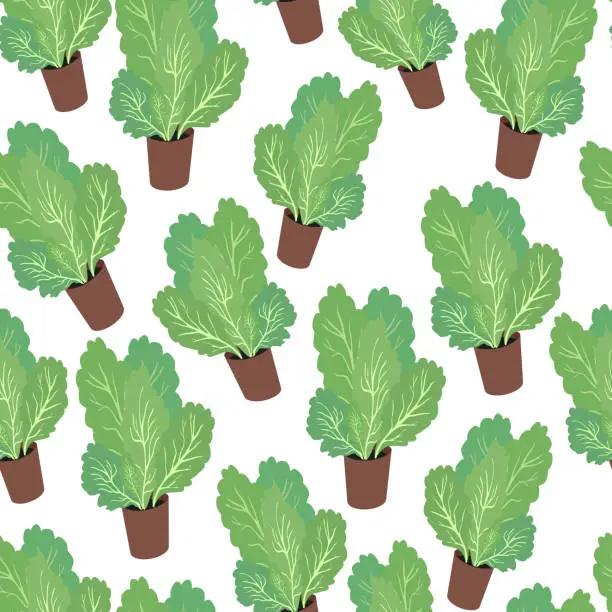 Vector illustration of seamless pattern of green lettuce in a pot on an isolated background in a flat style. Lettuce leaves in an individual pot from the supermarket.Vector image.