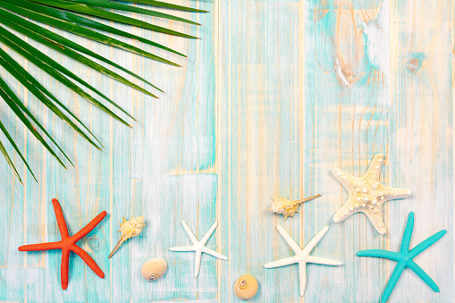 Simple composition on blue background on weathered wood with palm leaf, starfish, conch shells. Summer vacation concept with copy space