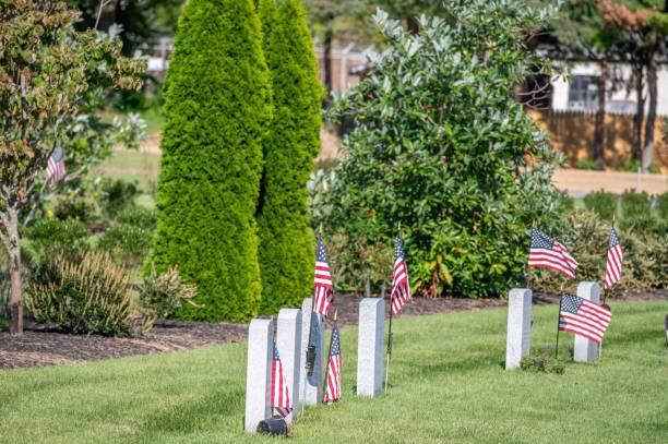 American veteran flags flutter in a row by headstones in grassy cemetery