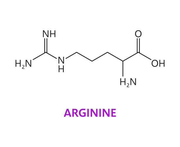 struktura cząsteczki chemicznej aminokwasu argininy - molecule amino acid arginine molecular structure stock illustrations