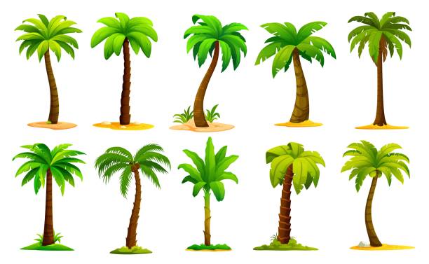 26580buchas modern PIXEL FONT, digital typeface, 8bit geometric alphabet, binary type 2 ÑевÑÑк Cartoon jungle palm trees, coconut and banana tropical plants set. Isolated vector palms with tall and slender trunks, swaying in the breeze green fronds. Exotic paradise vegetation, game elements palmtree stock illustrations