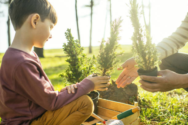 istock Father and son planting trees outdoors in springtime 2148493390