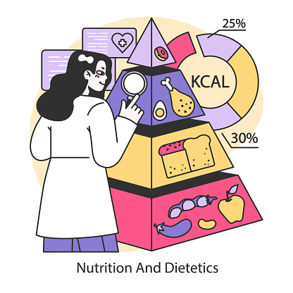 Nutrition and Dietetics concept. Dietitian evaluates balanced food pyramid, focusing on calorie distribution for healthy eating. Nutritional guidance visualized. Flat vector illustration.