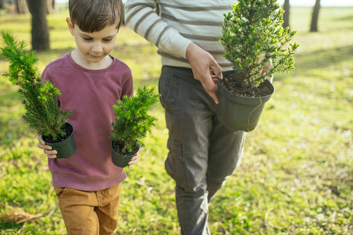 Family planting trees outdoors in springtime