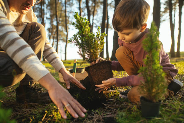 Father and son planting trees outdoors in springtime